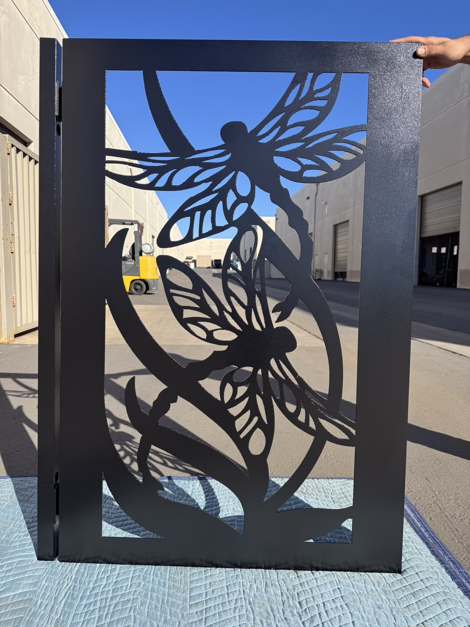 #2418 Dragonfly Estate Metal Gate