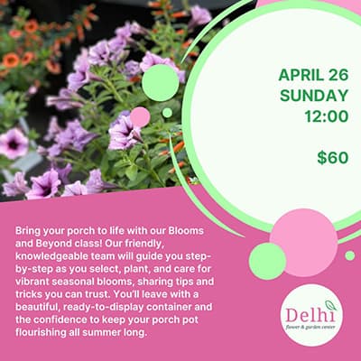 Annual Porch Pots