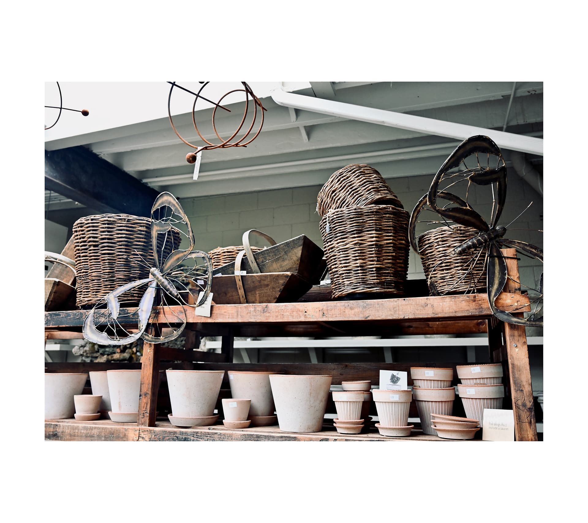 Drypot® Twig – St. Thomas Bean Brown