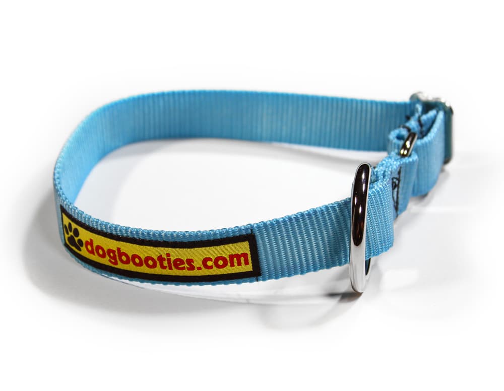 Adjustable Dog Collar