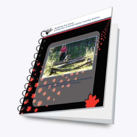 Build the Team Fundraiser eBook