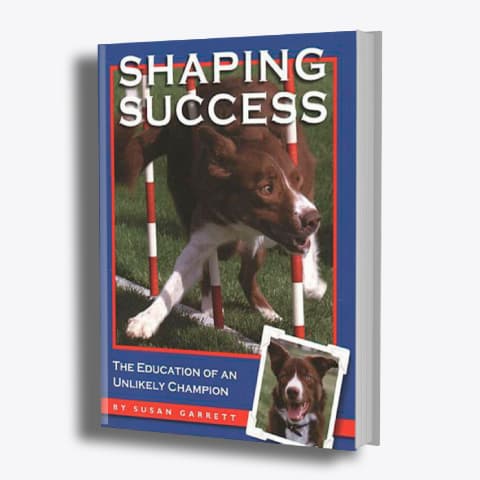 Shaping Success