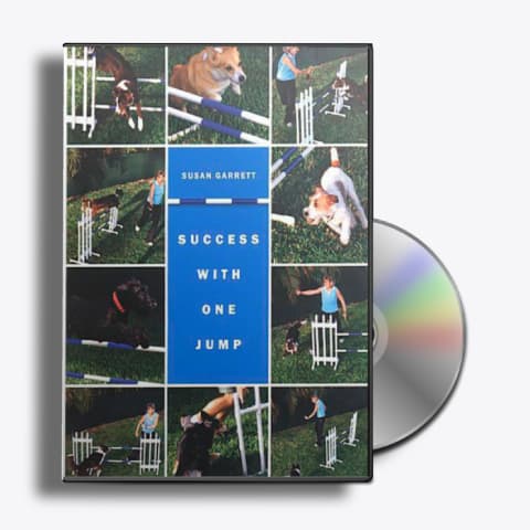 Success With One Jump DVD