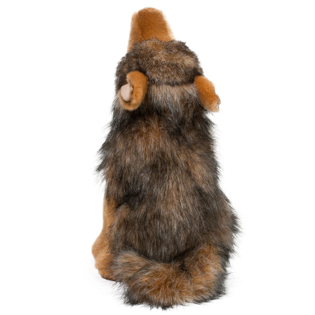 Rambler Coyote - thumbnail 2