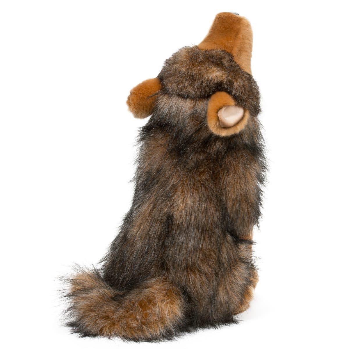 Rambler Coyote - thumbnail 3