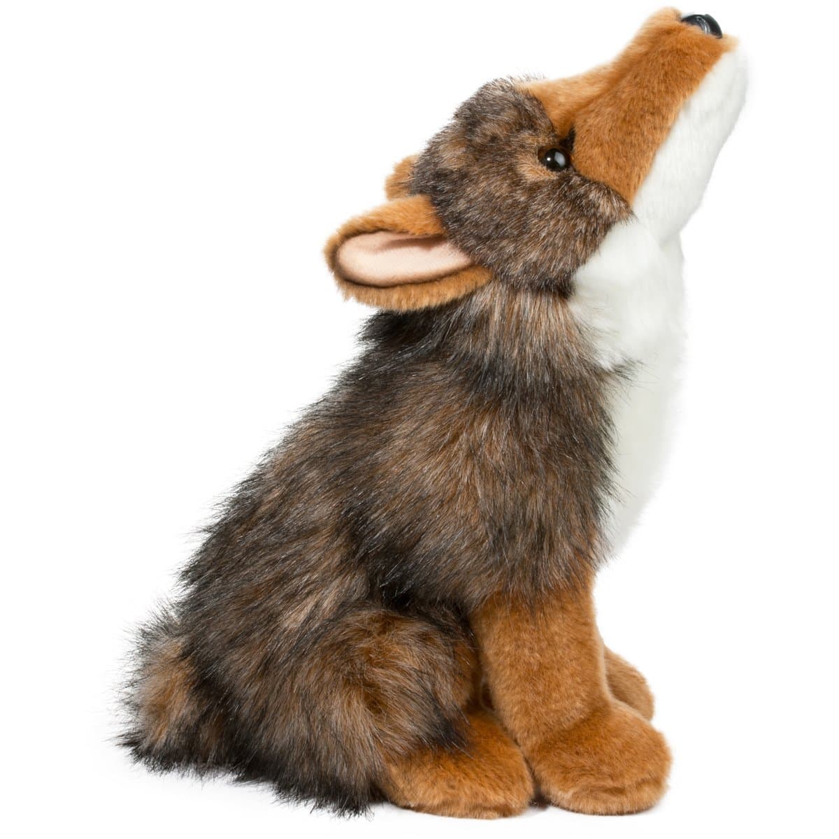 Rambler Coyote - thumbnail 4