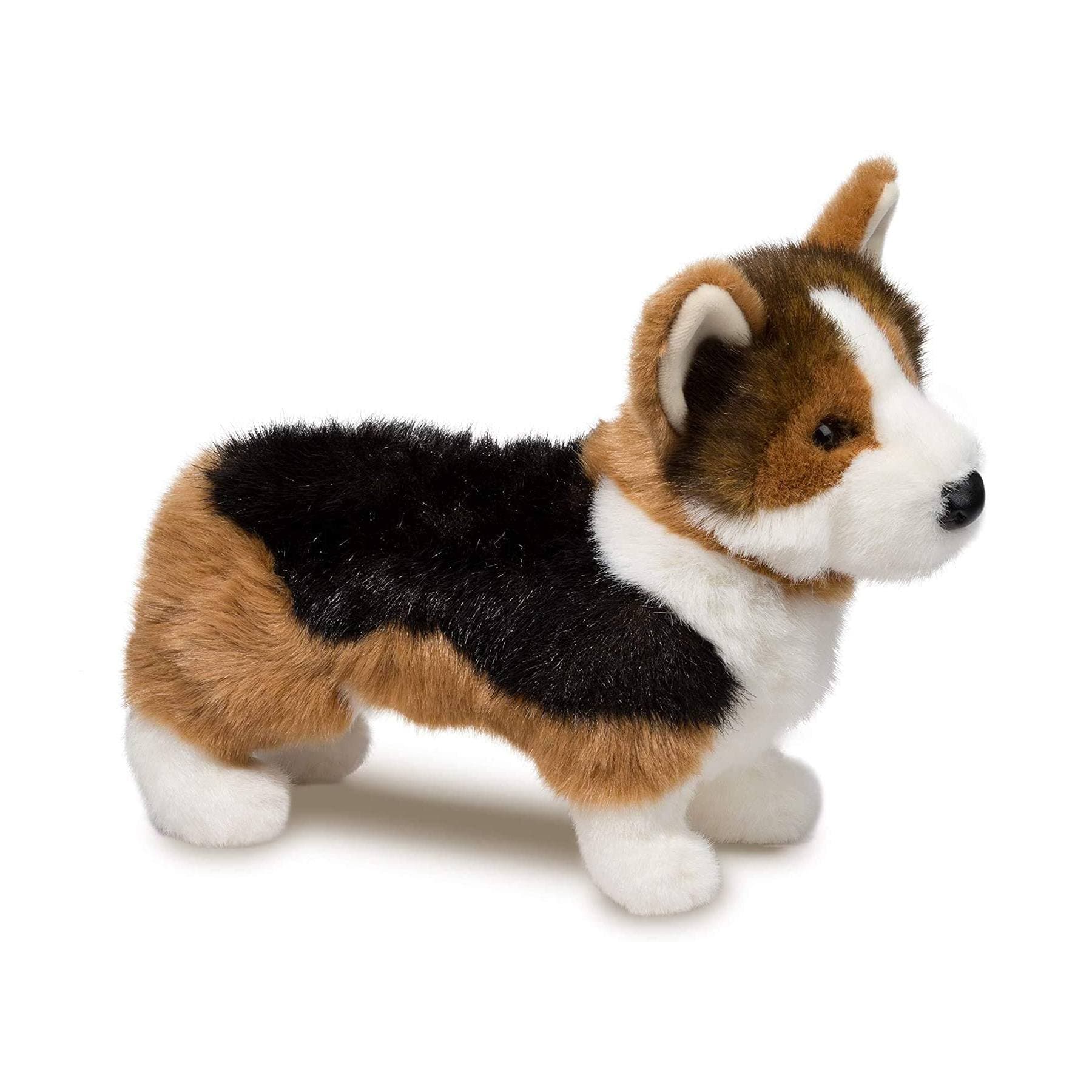 Kirby Tri-Colored Corgi - thumbnail 2
