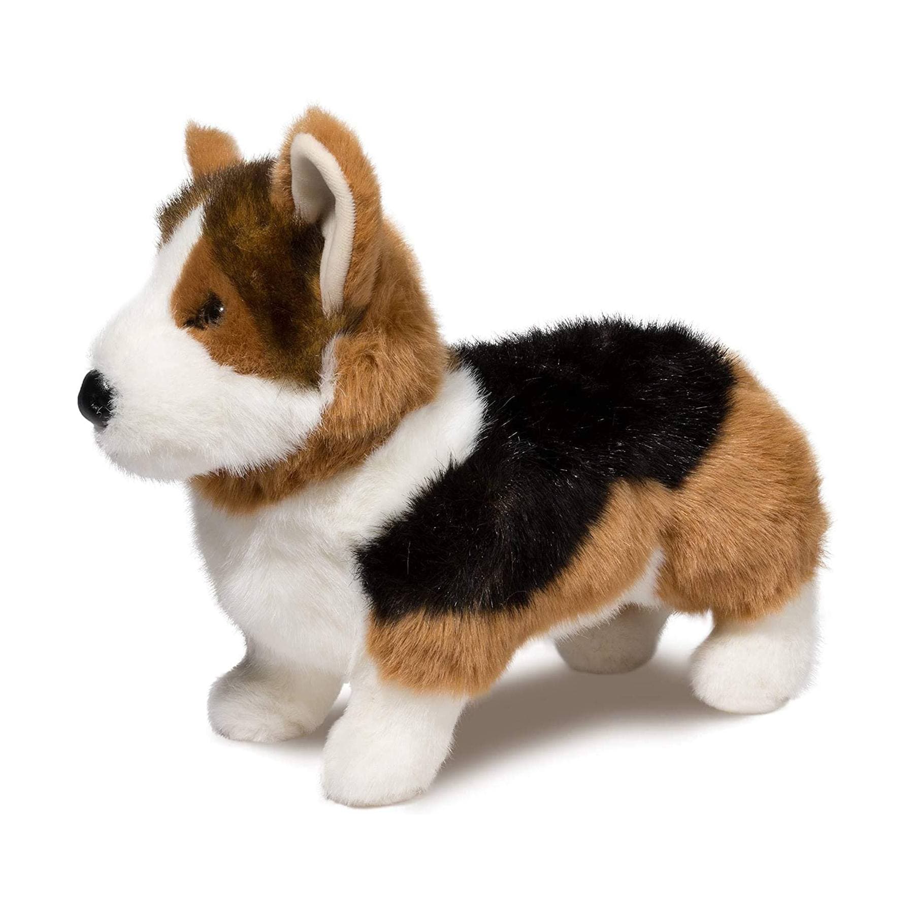 Kirby Tri-Colored Corgi - thumbnail 4