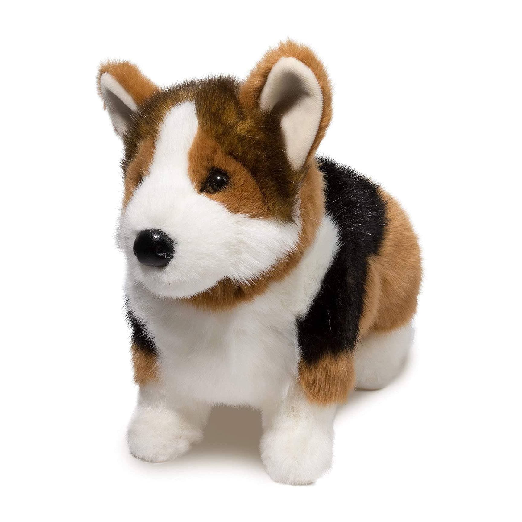 Kirby Tri-Colored Corgi - thumbnail 3