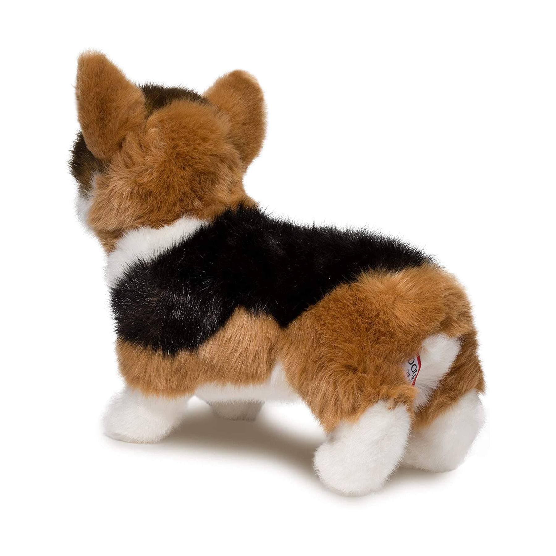 Kirby Tri-Colored Corgi - thumbnail 5