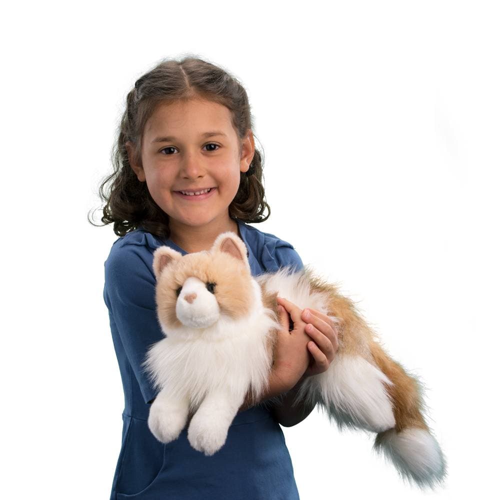 Kiki Ragdoll Cat - thumbnail 2