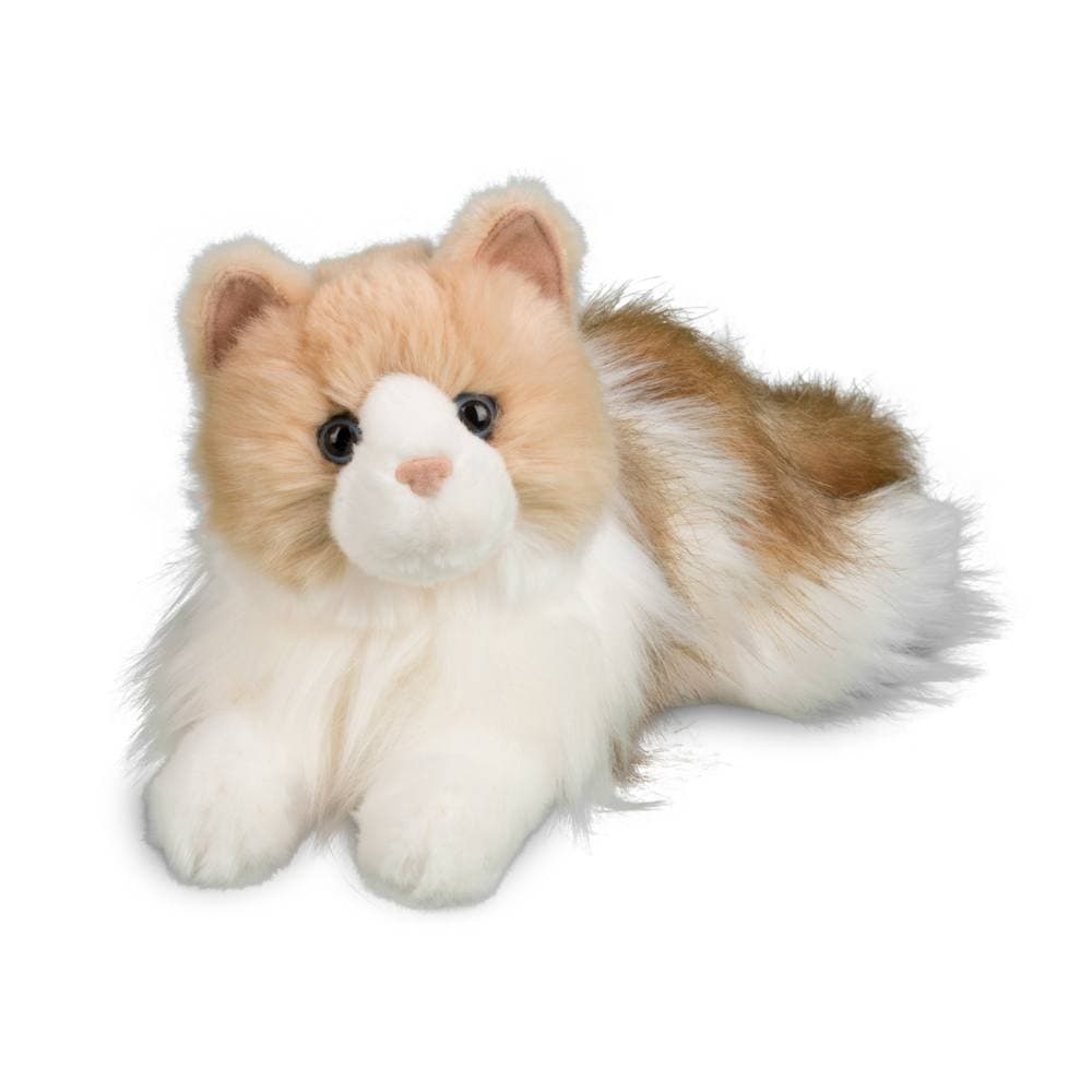 Kiki Ragdoll Cat - thumbnail 3