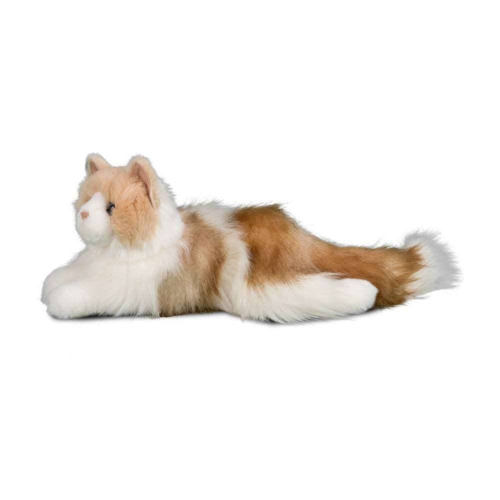 Kiki Ragdoll Cat - thumbnail 4