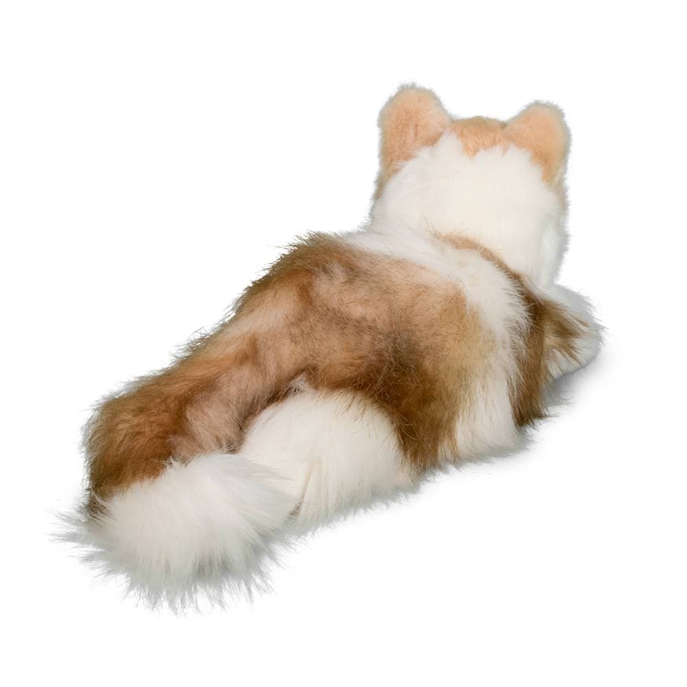 Kiki Ragdoll Cat - thumbnail 6