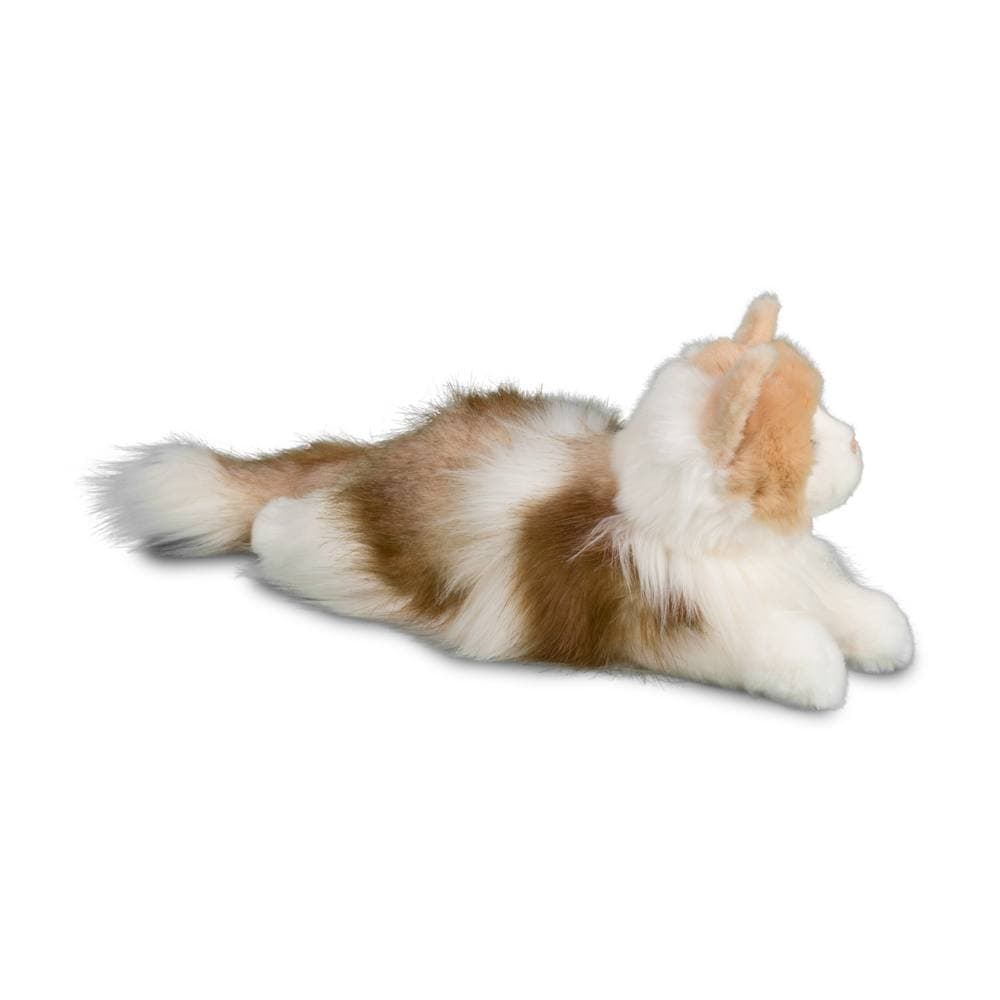 Kiki Ragdoll Cat - thumbnail 7