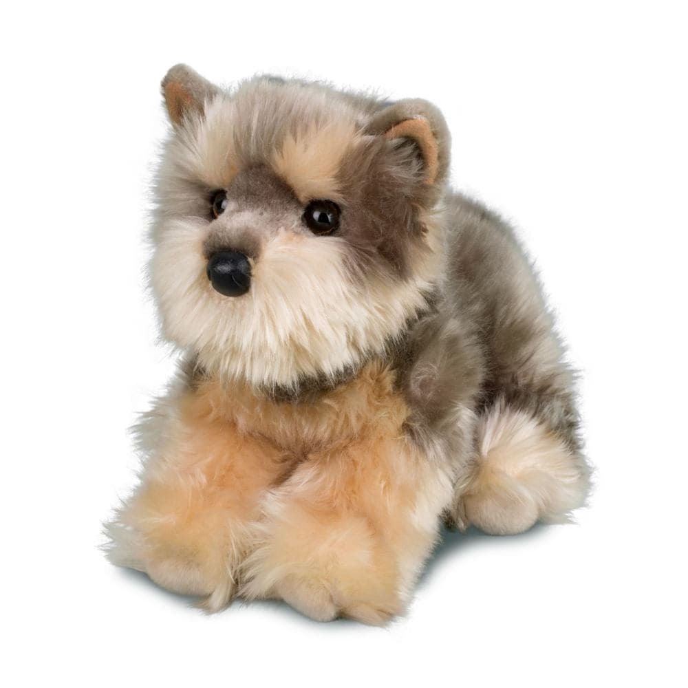 Yettie Yorkie - thumbnail 3