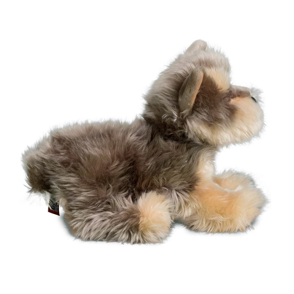 Yettie Yorkie - thumbnail 5