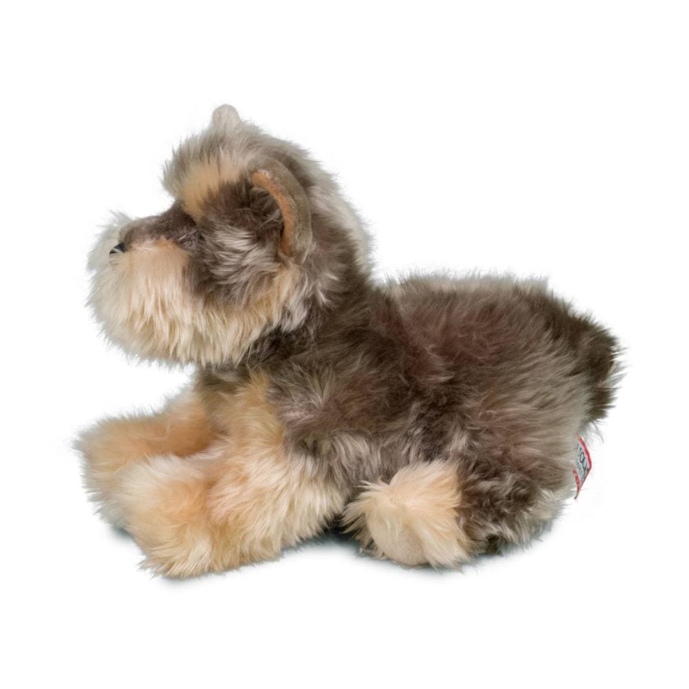 Yettie Yorkie - thumbnail 6