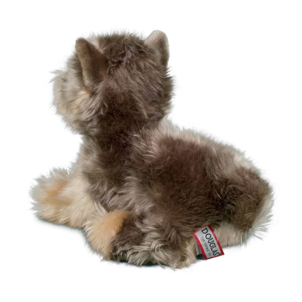 Yettie Yorkie - thumbnail 7