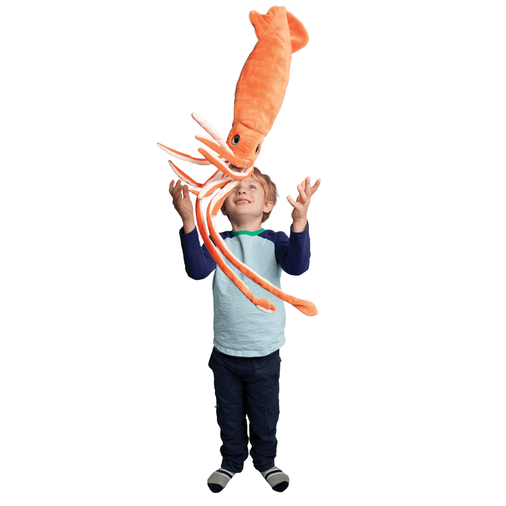 Stretch Squid - thumbnail 2