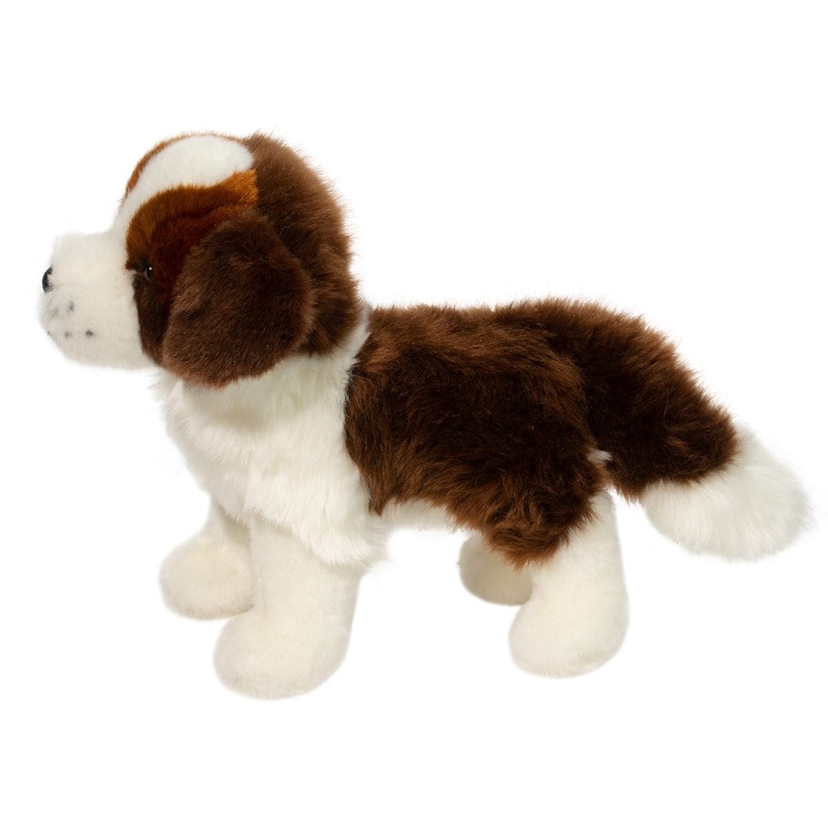 Brutus St. Bernard - thumbnail 2