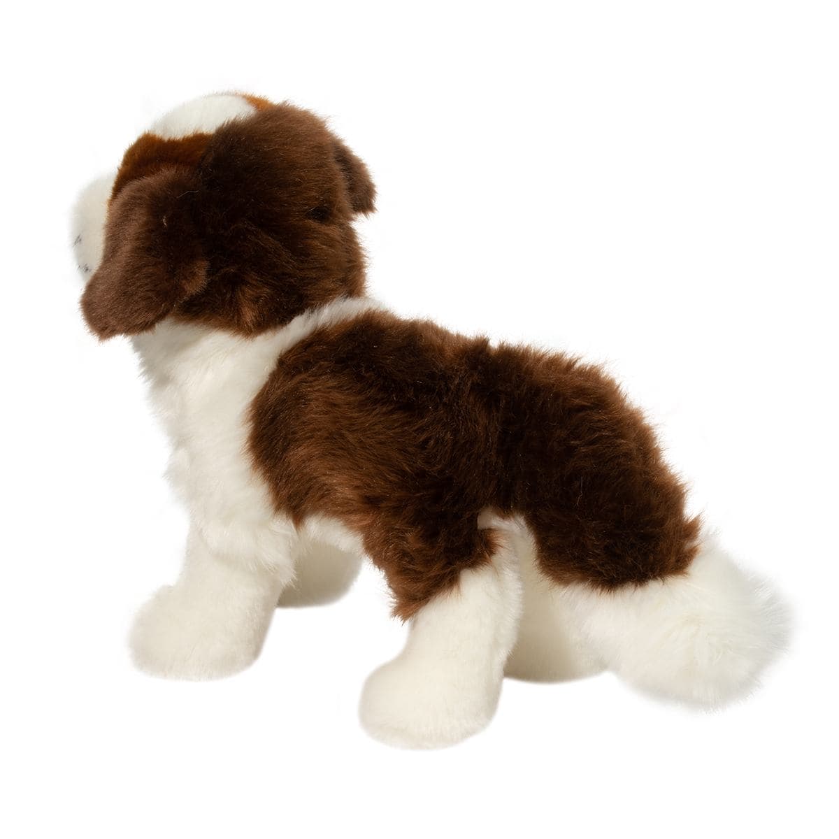 Brutus St. Bernard - thumbnail 3