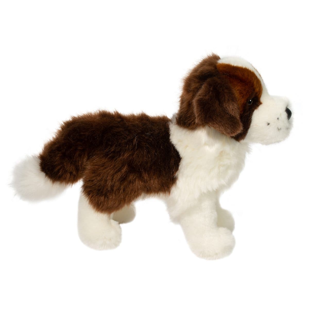 Brutus St. Bernard - thumbnail 4