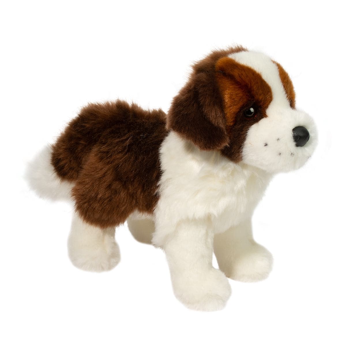 Brutus St. Bernard - thumbnail 5