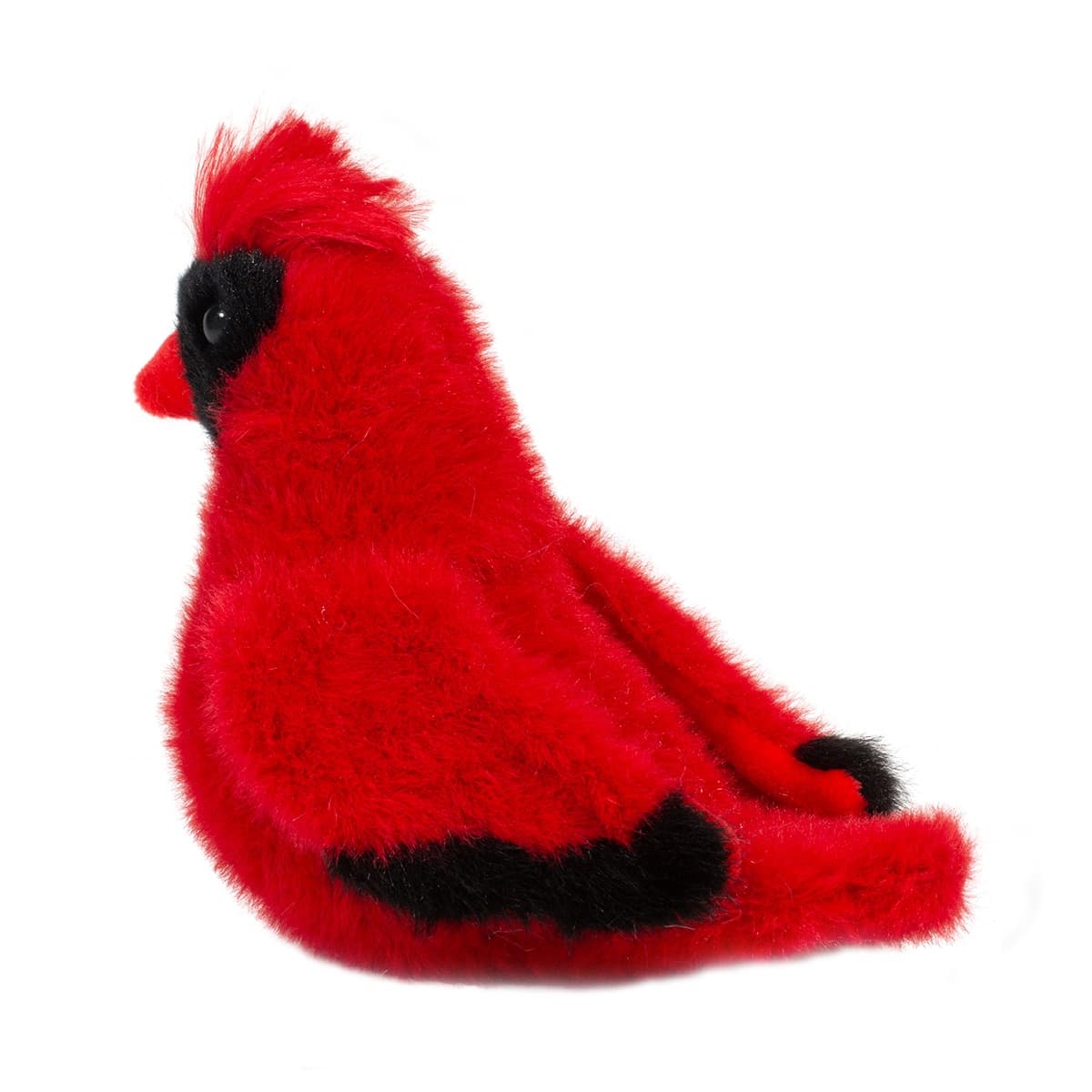 Carmine Cardinal - thumbnail 4