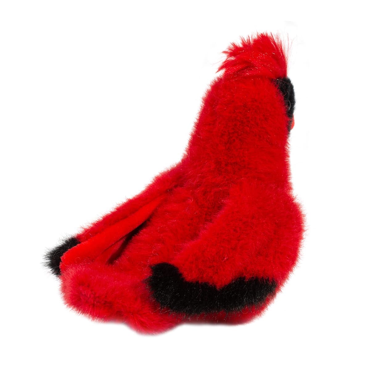 Carmine Cardinal - thumbnail 5