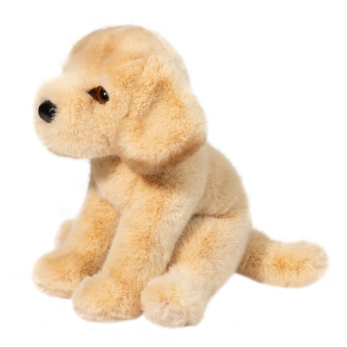 Ace Yellow Lab - thumbnail 2