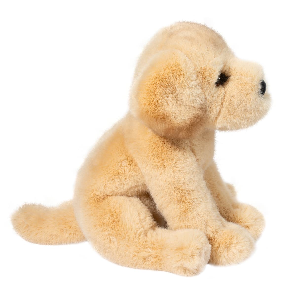 Ace Yellow Lab - thumbnail 4