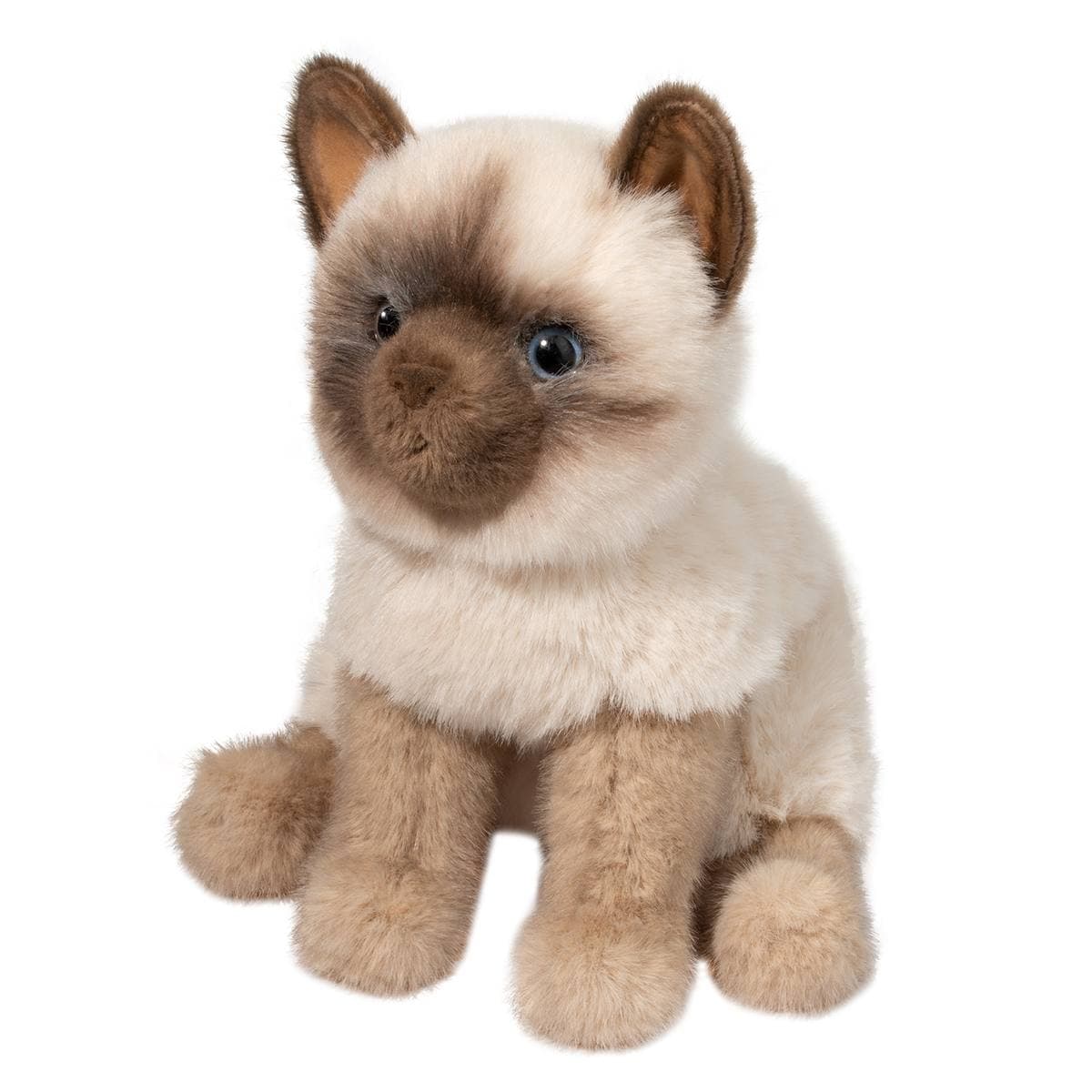 Fu Siamese Cat - thumbnail 2