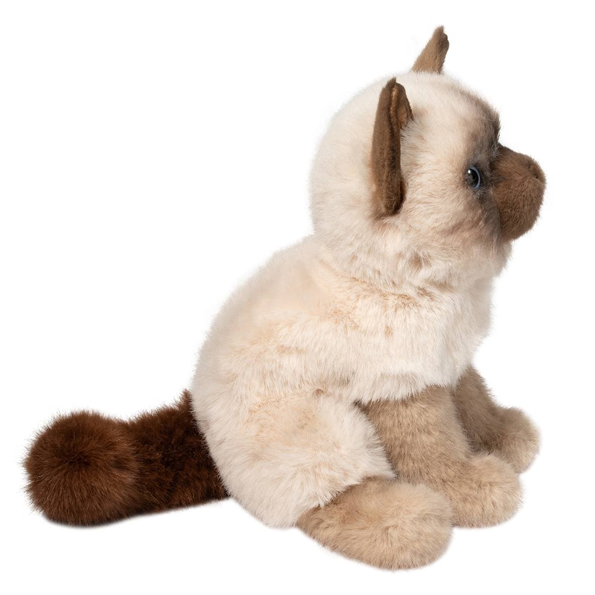 Fu Siamese Cat - thumbnail 4