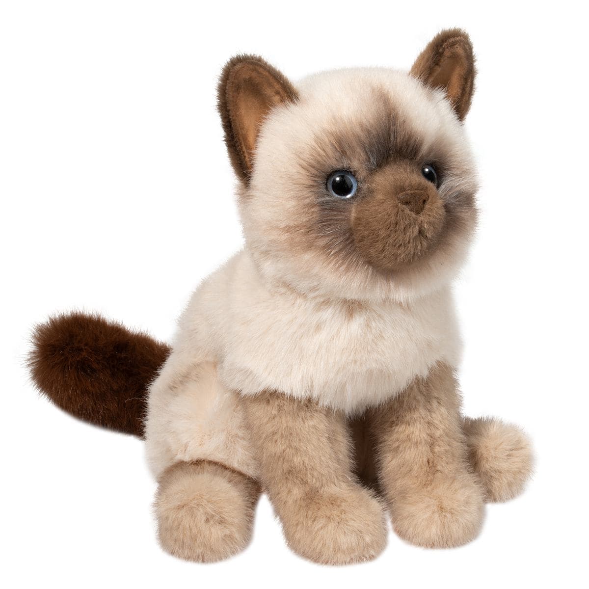 Fu Siamese Cat - thumbnail 5