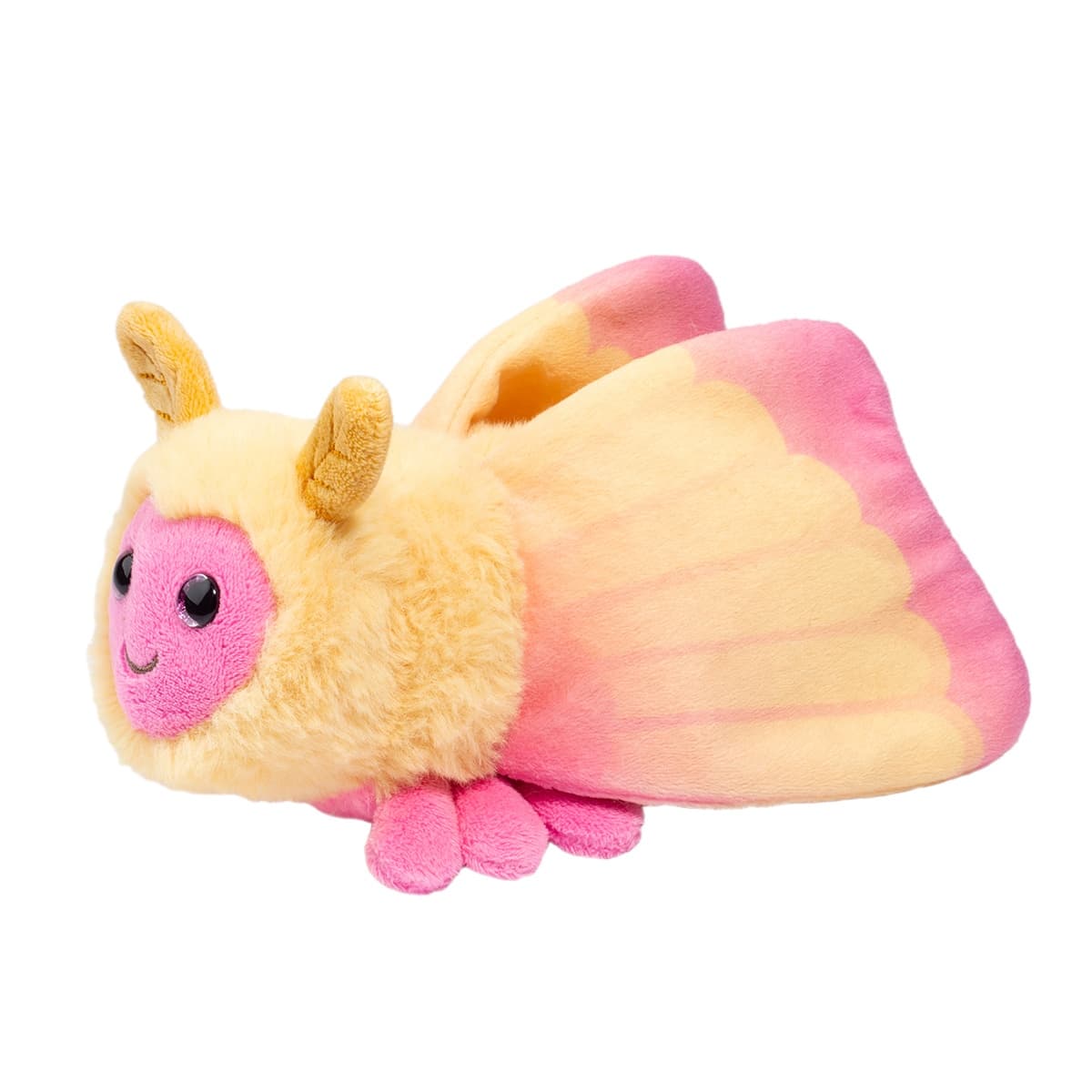 Rosy Maple Moth - thumbnail 2