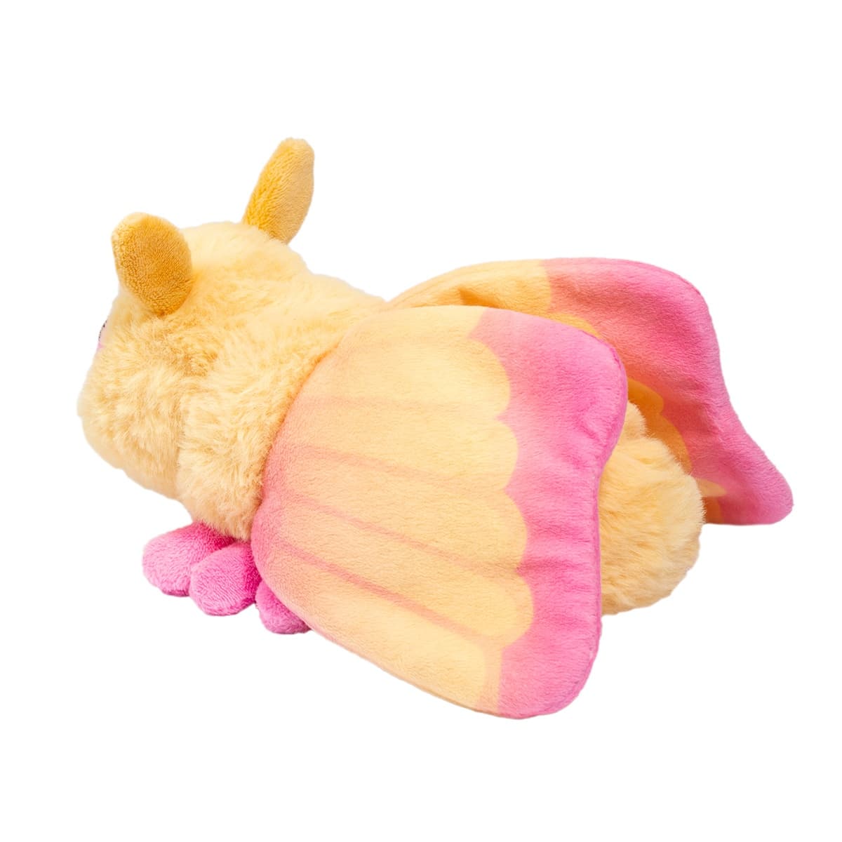Rosy Maple Moth - thumbnail 3