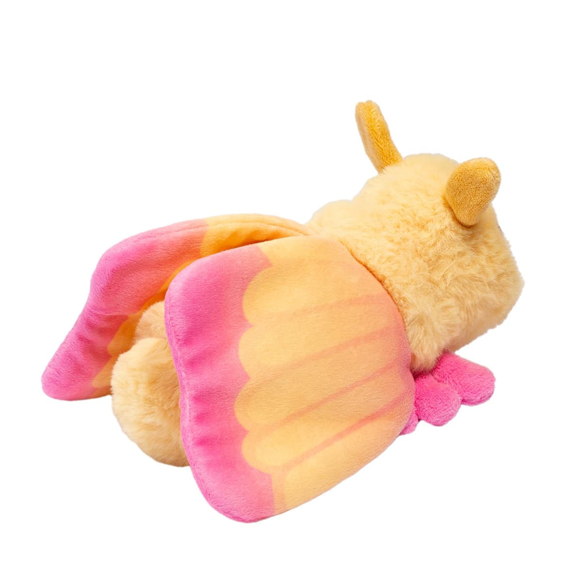 Rosy Maple Moth - thumbnail 5