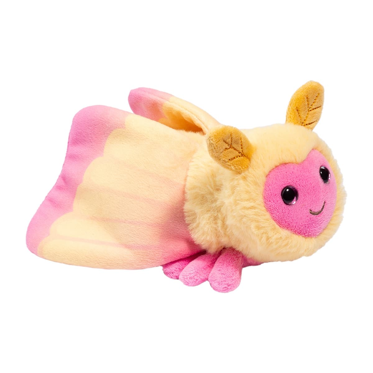 Rosy Maple Moth - thumbnail 7