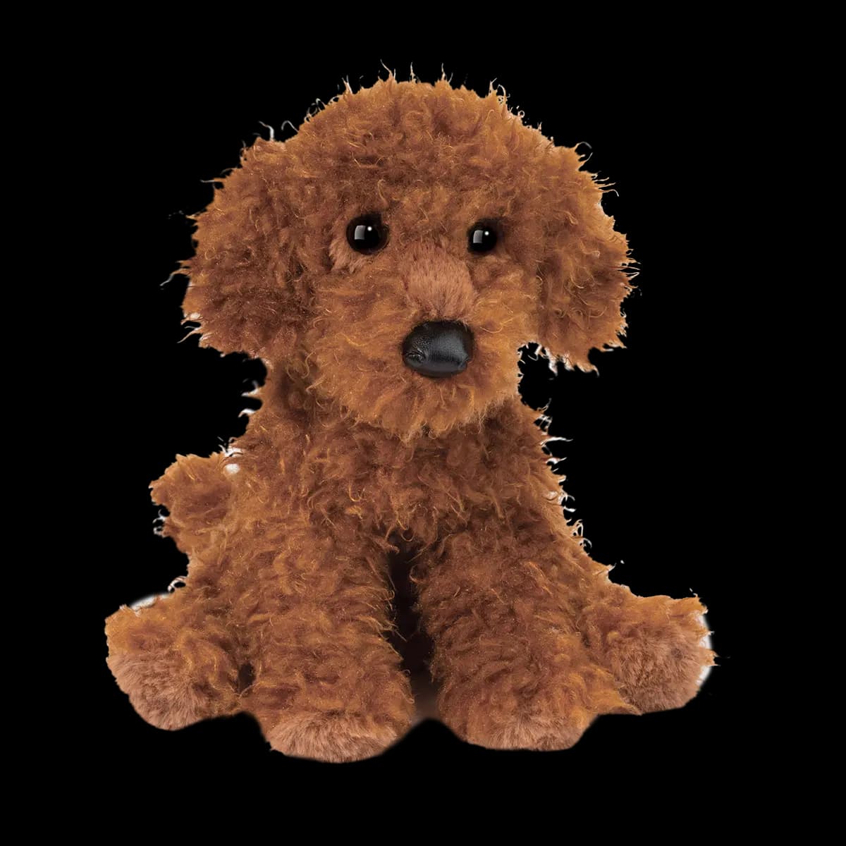 Ginger Miniature Poodle
