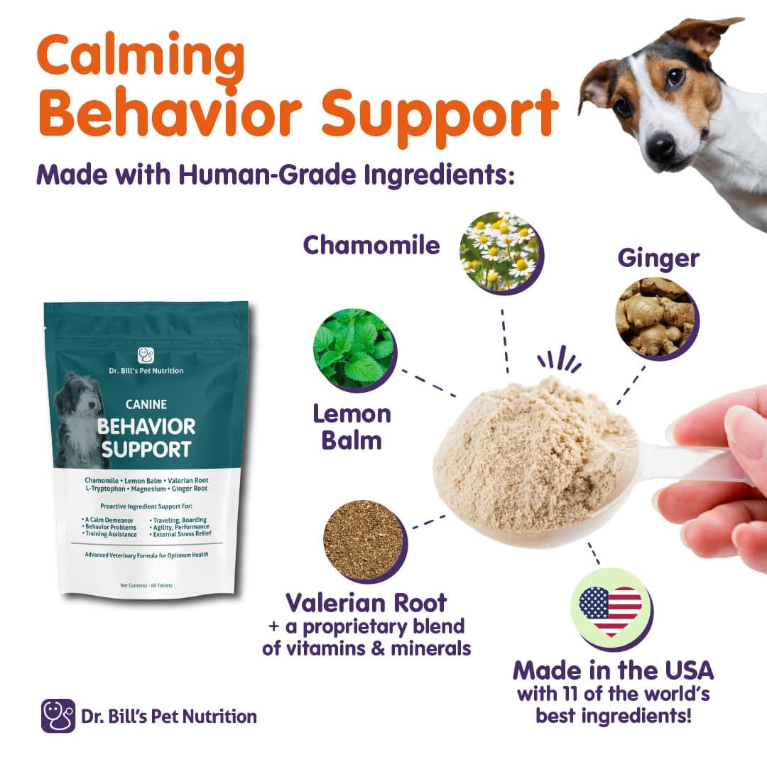 Canine Behavior Support - thumbnail 2