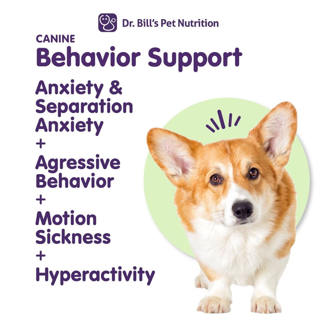 Canine Behavior Support - thumbnail 3