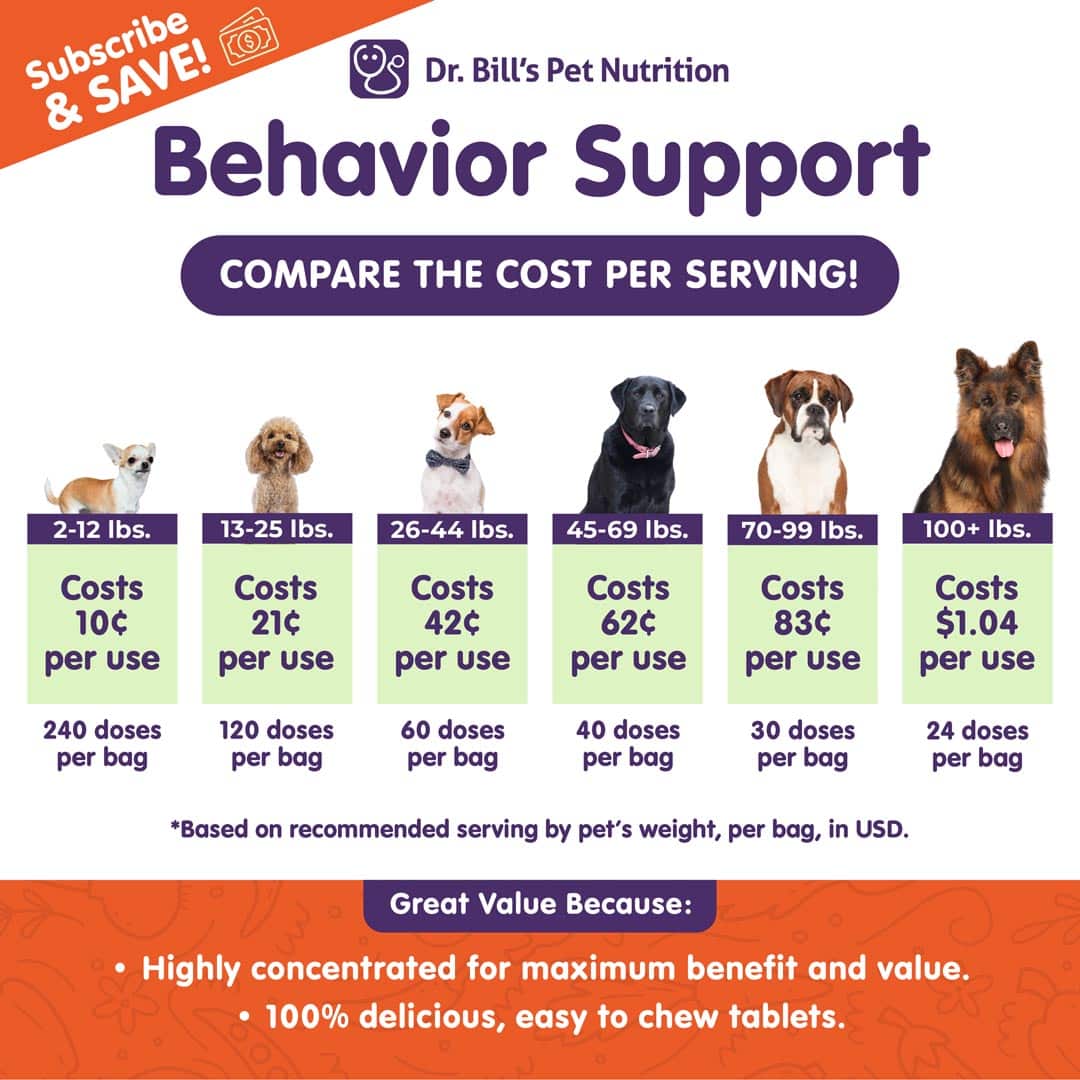 Canine Behavior Support - thumbnail 4