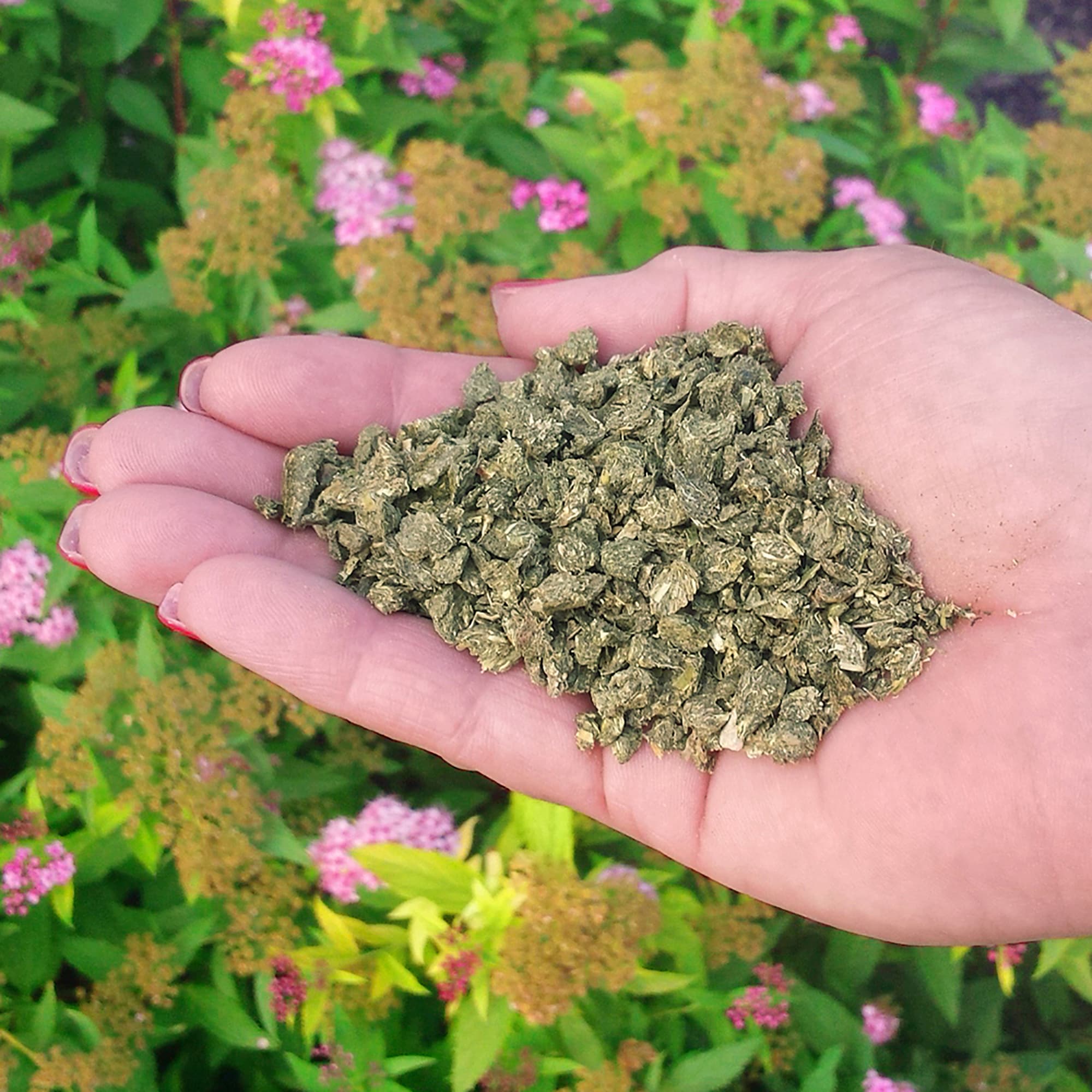 Life®: All Purpose Fertilizer - thumbnail 4