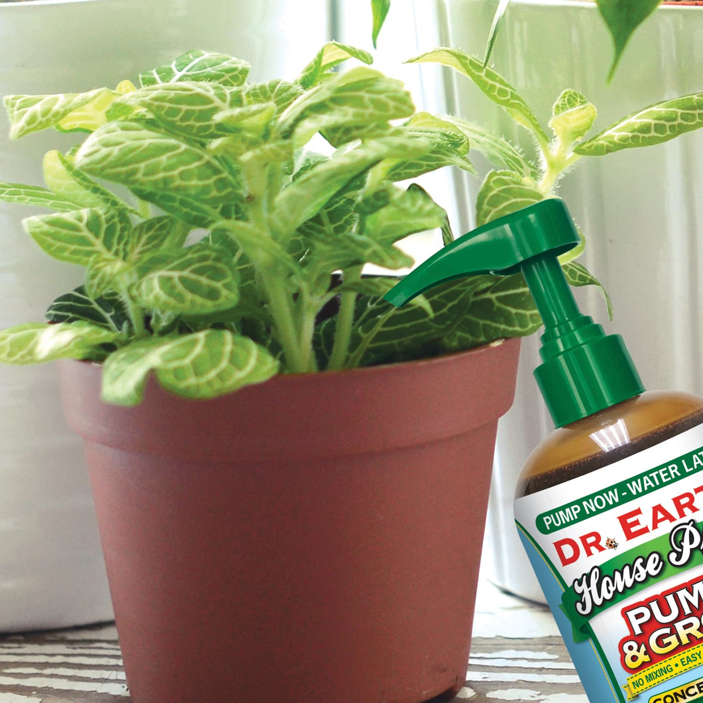 House Plant Pump & Grow Liquid Plant Food - thumbnail 5