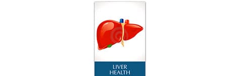 Complete Liver Health Analysis