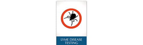 Lyme Disease Testing