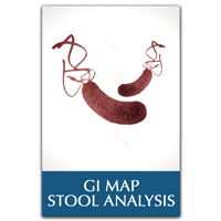 GI MAP Stool Analysis