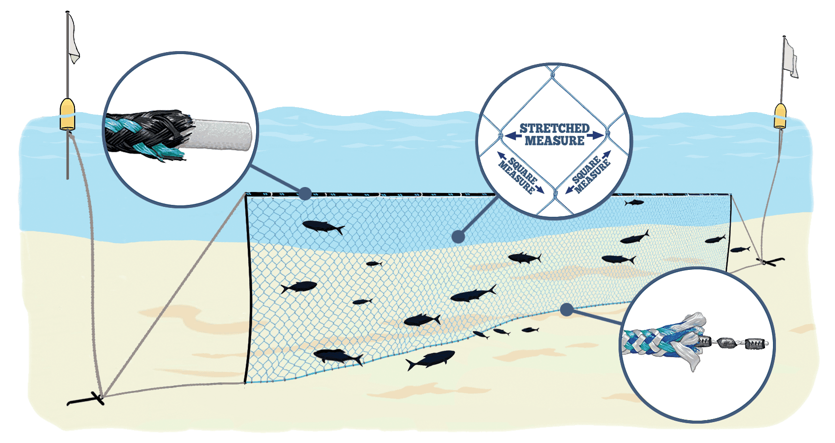 Walleye Gill Nets