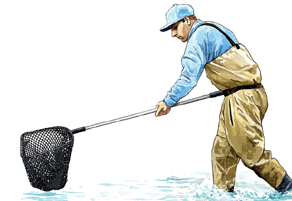 Standard Electrofishing Dip Nets